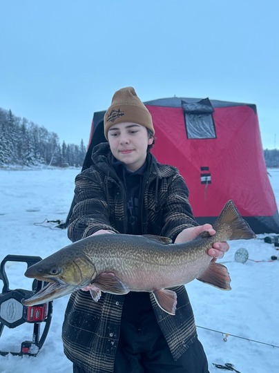 Tiger Trout