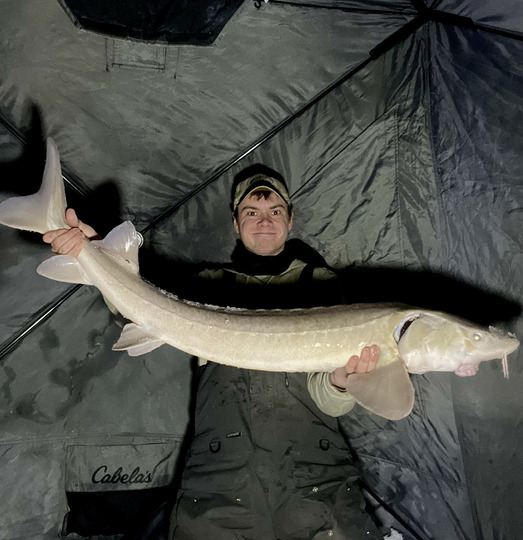 Lake Sturgeon