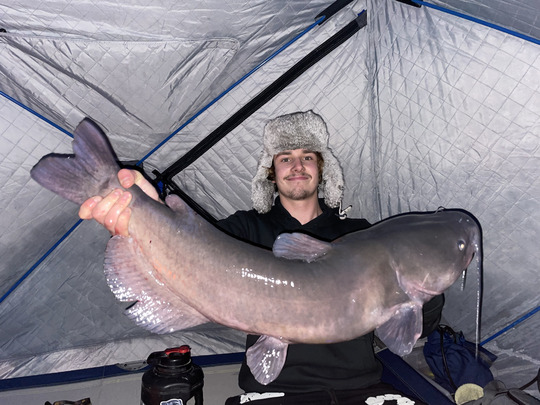 Channel Catfish