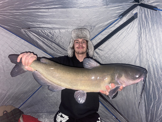 Channel Catfish