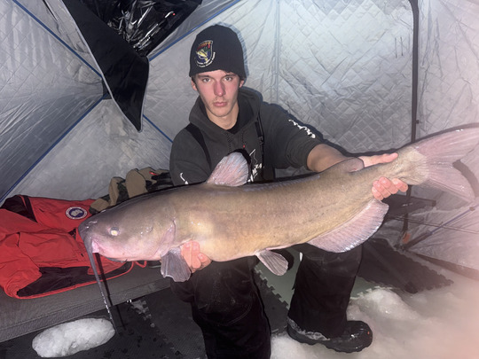 Channel Catfish