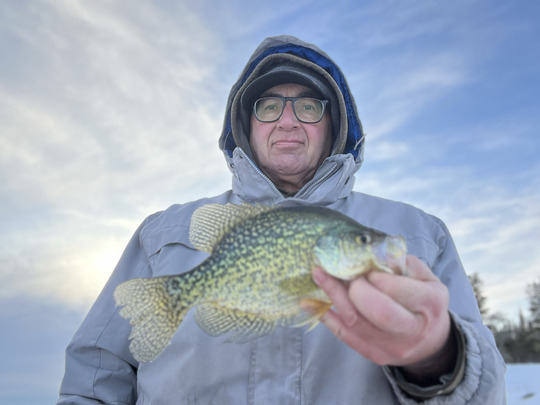 Black Crappie