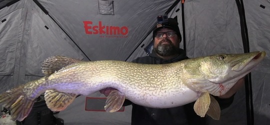 Northern Pike