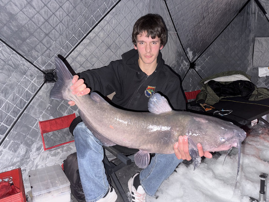 Channel Catfish