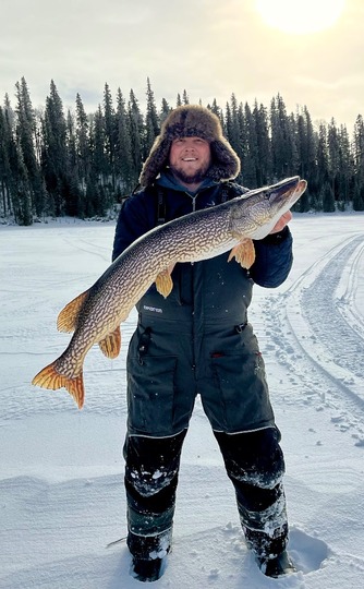 Northern Pike