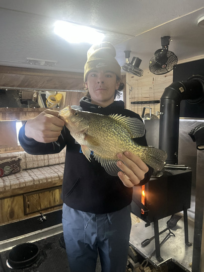 Black Crappie