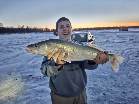 Walleye