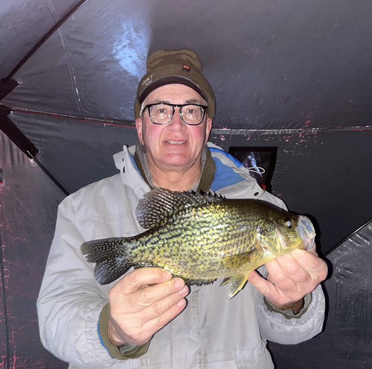 Black Crappie