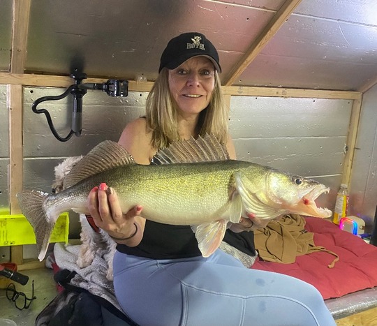 Walleye