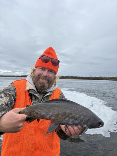 Arctic Grayling