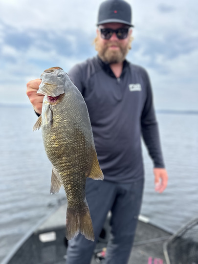 Smallmouth Bass