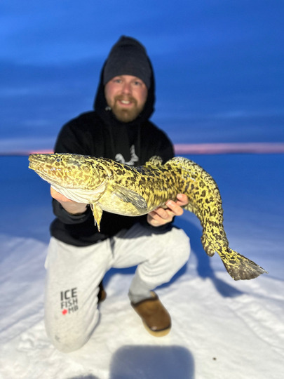 Burbot