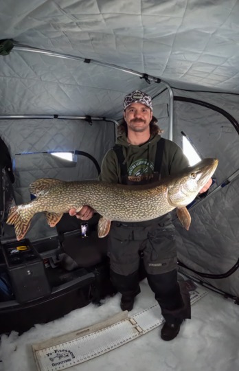 Northern Pike