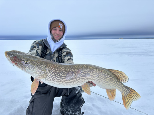 Northern Pike
