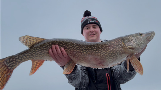Northern Pike