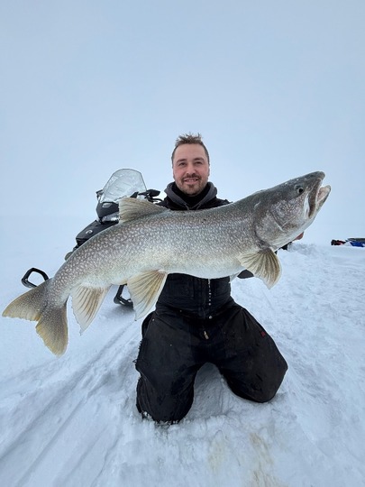 Lake Trout