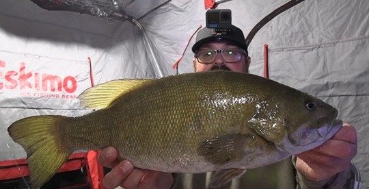 Smallmouth Bass