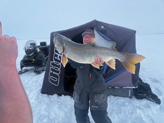 Lake Trout