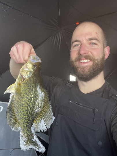 Black Crappie