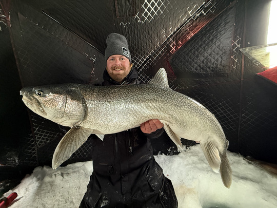 Lake Trout