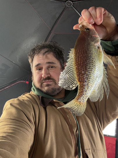 Black Crappie