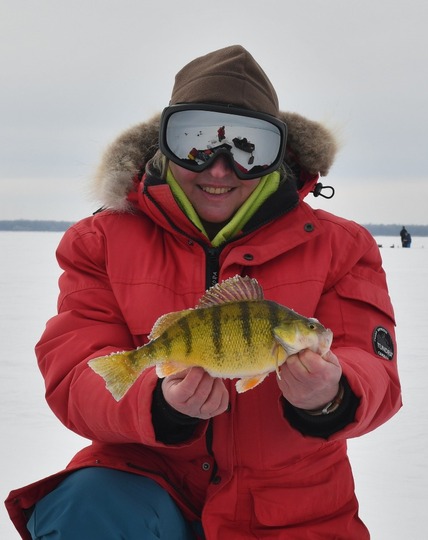 Yellow Perch