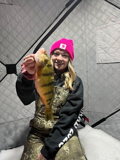 Yellow Perch