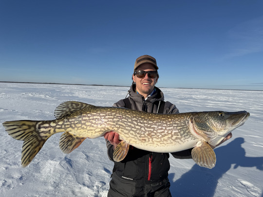 Northern Pike