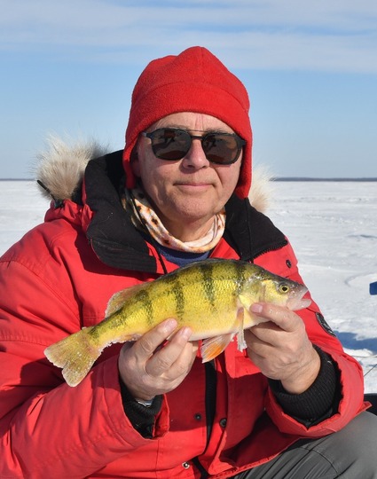 Yellow Perch