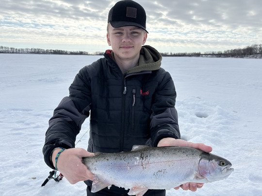 Rainbow Trout