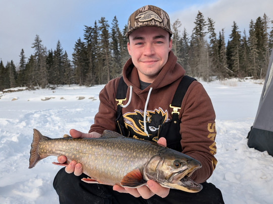 Brook Trout