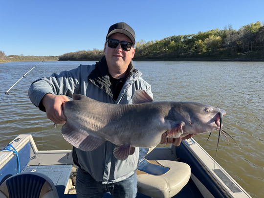 Channel Catfish