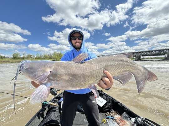 Channel Catfish