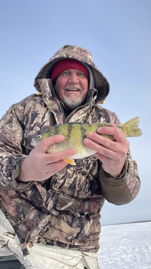 Yellow Perch