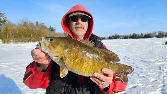 Smallmouth Bass