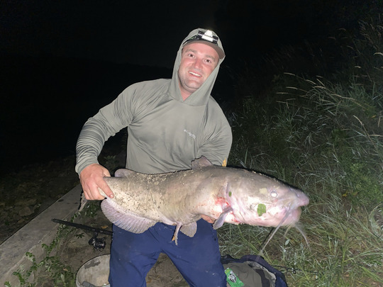Channel Catfish