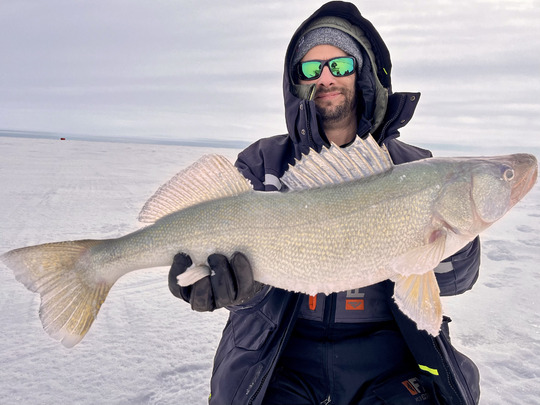 Walleye