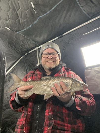 Lake Whitefish
