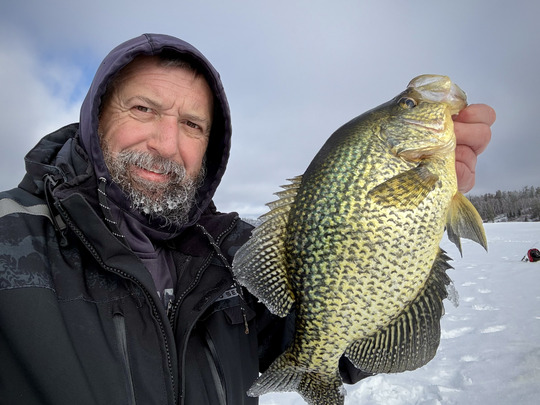 Black Crappie
