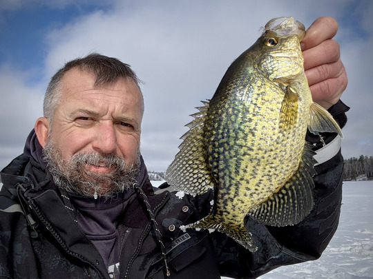 Black Crappie