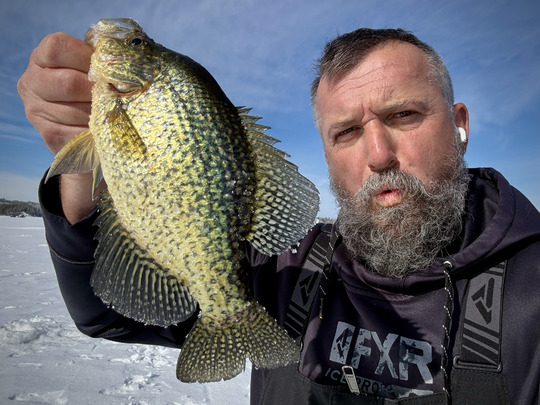 Black Crappie