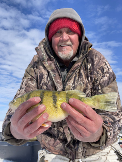 Yellow Perch