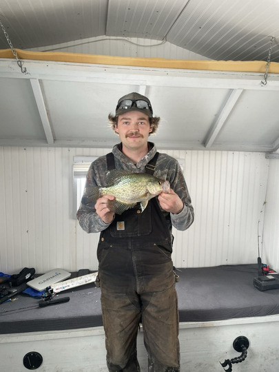 Black Crappie