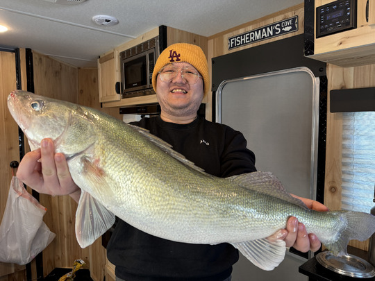 Walleye