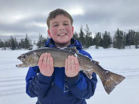 Tiger Trout