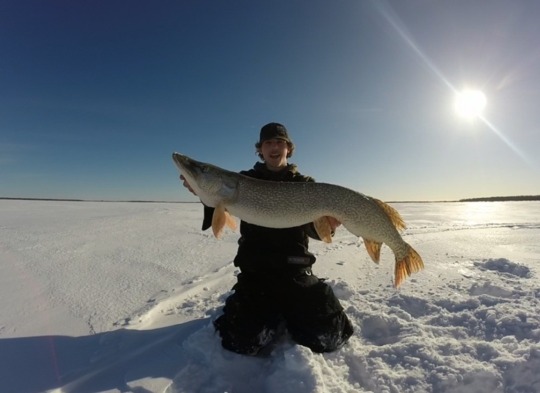 Northern Pike