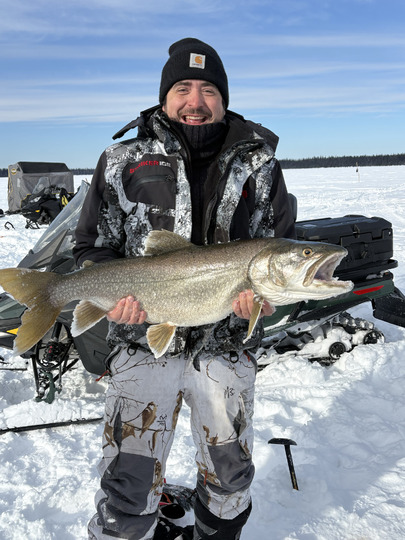 Lake Trout