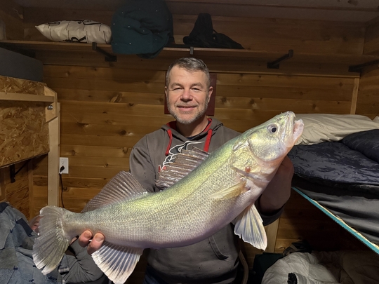 Walleye