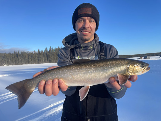 Arctic Char