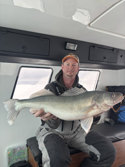 Walleye